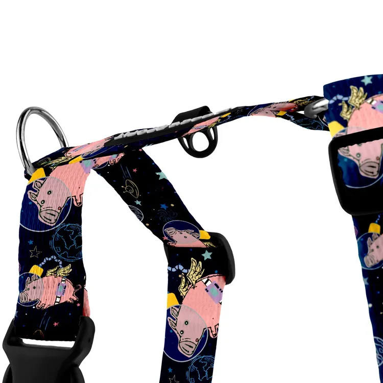 Szelki typu guard ASTRO PIG S | 20mm