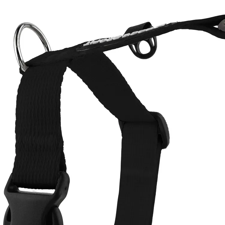 Szelki typu guard BASIC CZARNE S|20mm