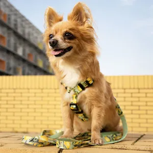 Szelki guard dla małego psa Dog's Profit