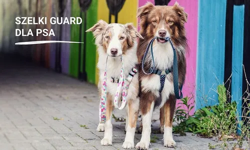 Szelki typu guard dla psa