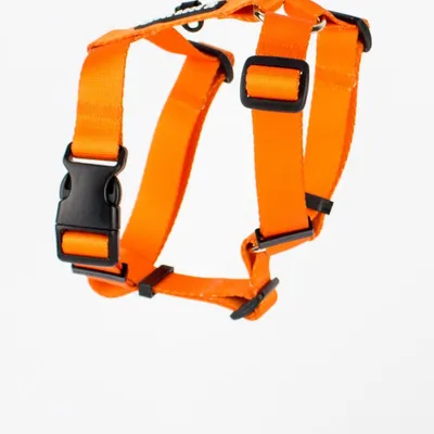 Szelki typu guard AMARILLO