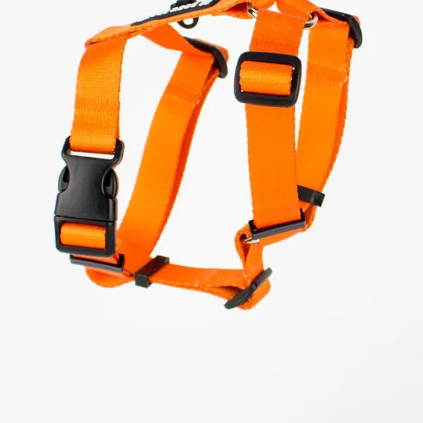 Szelki typu guard AMARILLO