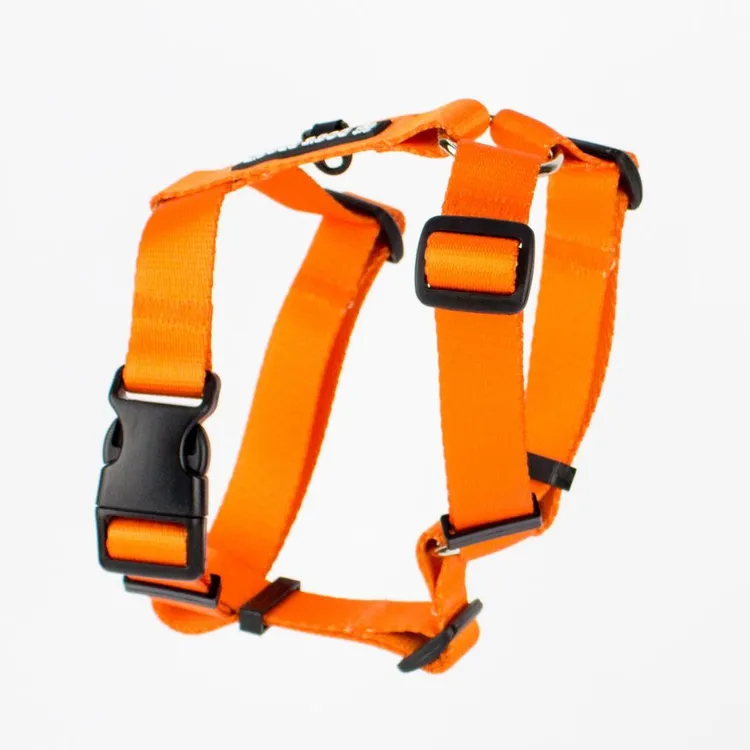 Szelki typu guard AMARILLO S | 20mm