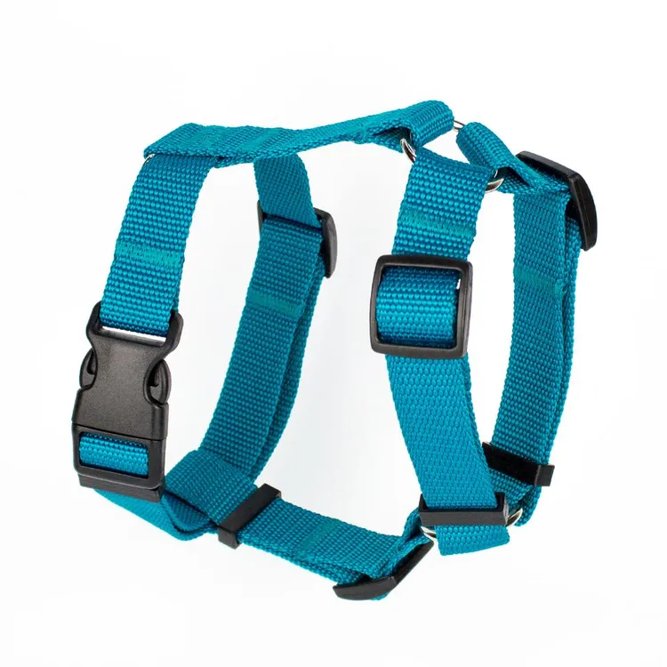 Szelki typu guard BASIC TURKUSOWE S|20mm