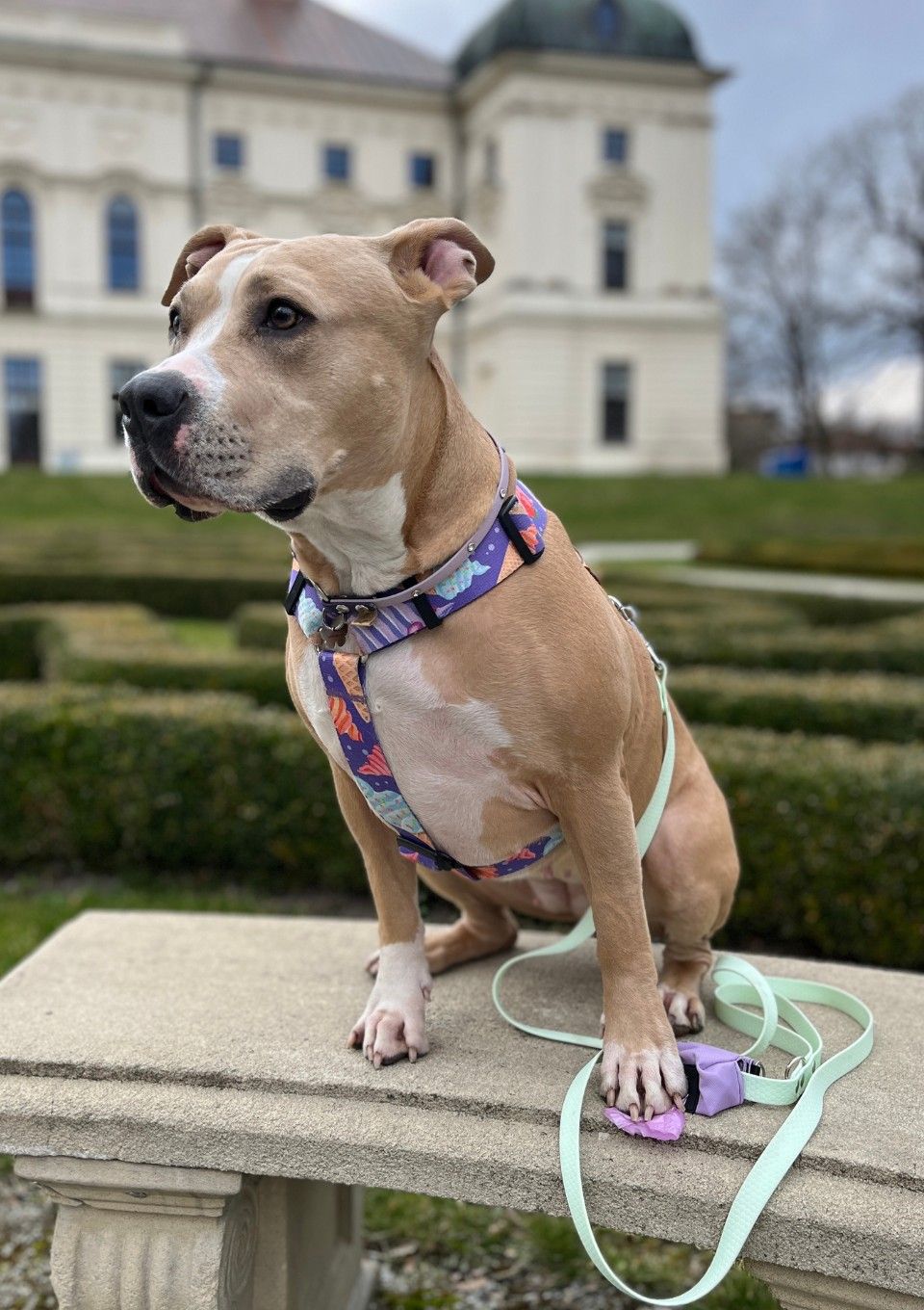 Smycz przepinana ADVENTURE HEXA LIGHT GREEN 200cm 16mm