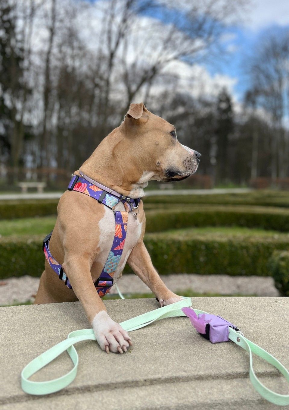 Smycz przepinana ADVENTURE HEXA LIGHT GREEN 200cm 16mm