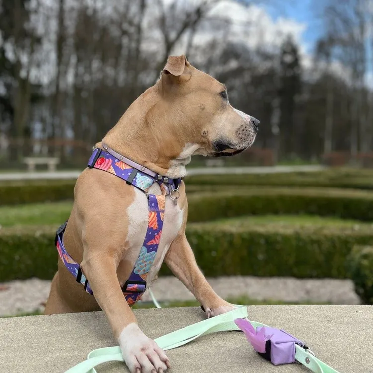 Smycz przepinana ADVENTURE HEXA LIGHT GREEN 200cm 16mm