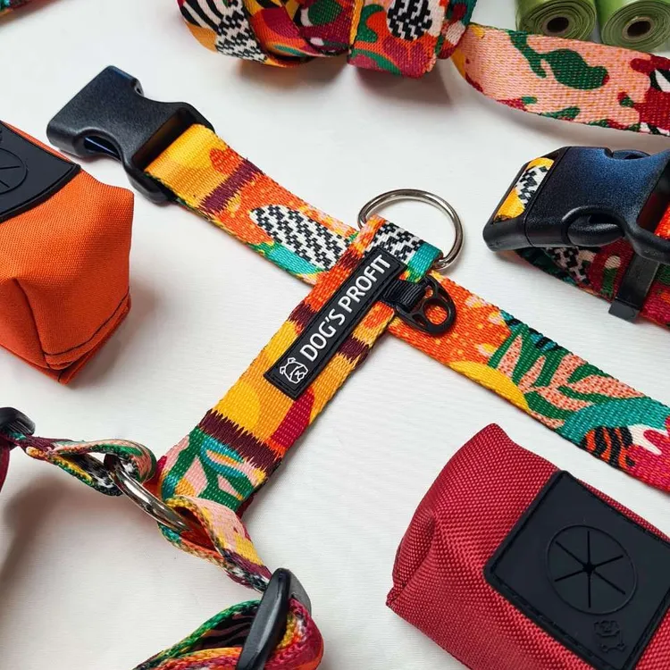 Obroża półzaciskowa MEXICO S | 20mm