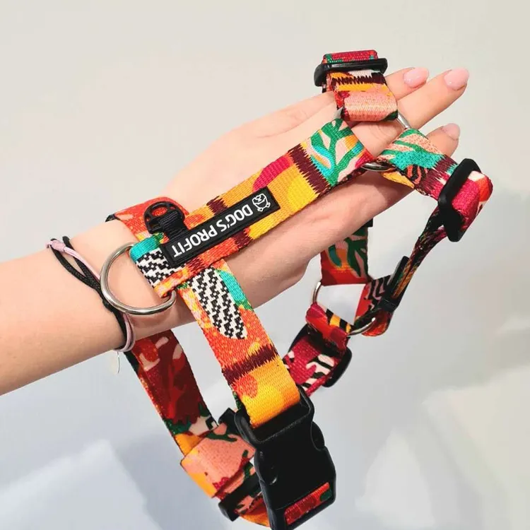 Szelki typu guard MEXICO S | 20mm