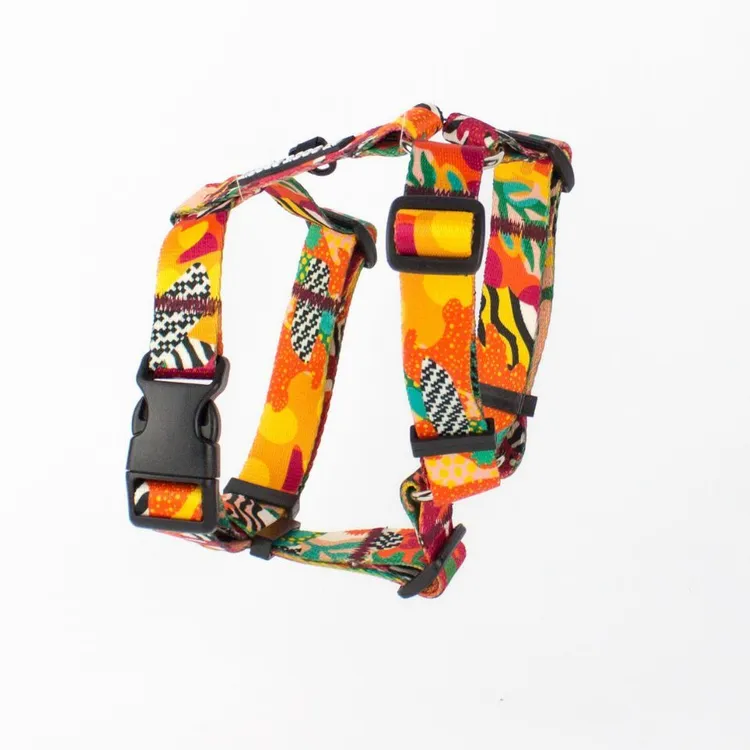 Szelki typu guard MEXICO S | 20mm