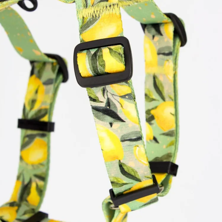 Szelki typu guard SIGNORA LIMONE S|20mm