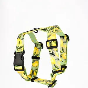 Szelki typu guard SIGNORA LIMONE