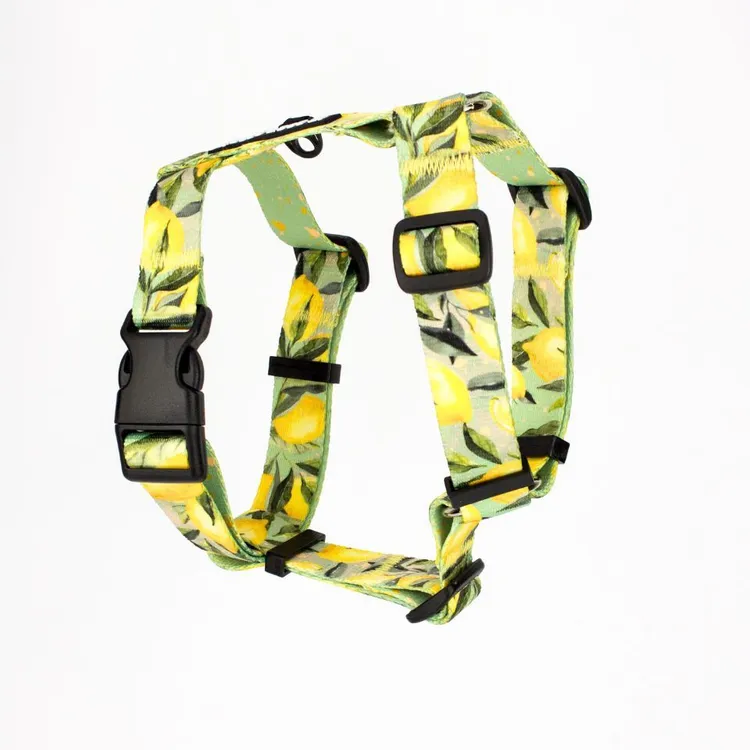 Szelki typu guard SIGNORA LIMONE S|20mm