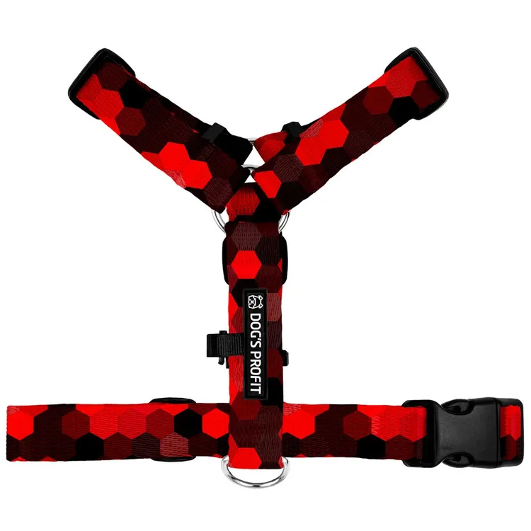 Szelki typu guard DOG&ROLL S | 20mm