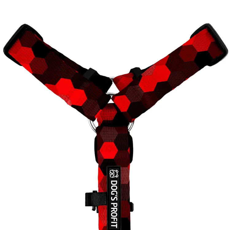 Szelki typu guard DOG&ROLL S | 20mm