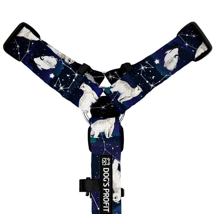 Szelki typu guard EKSPRES POLARNY S|20mm