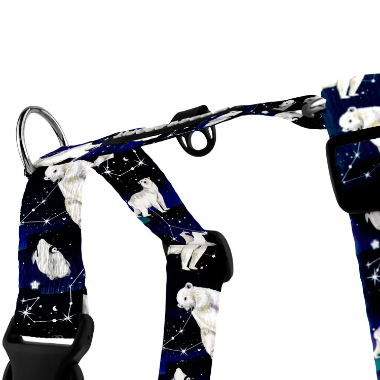 Szelki typu guard EKSPRES POLARNY S|20mm