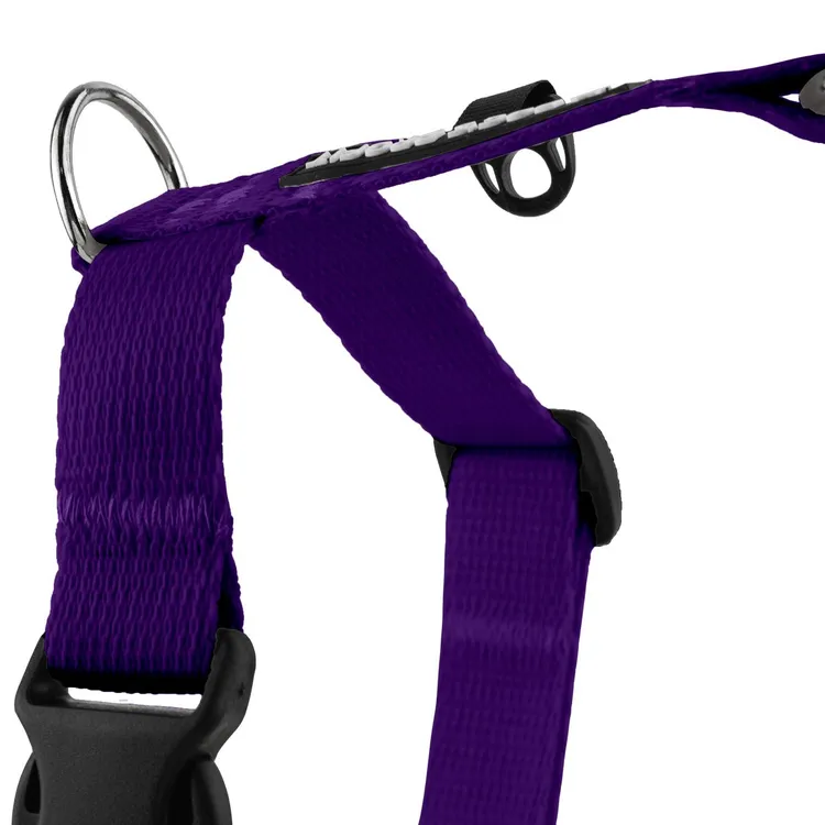 Szelki typu guard FIOLETOWE JAK JAGODZIANKI S|20mm