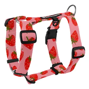 Szelki typu guard Fragola