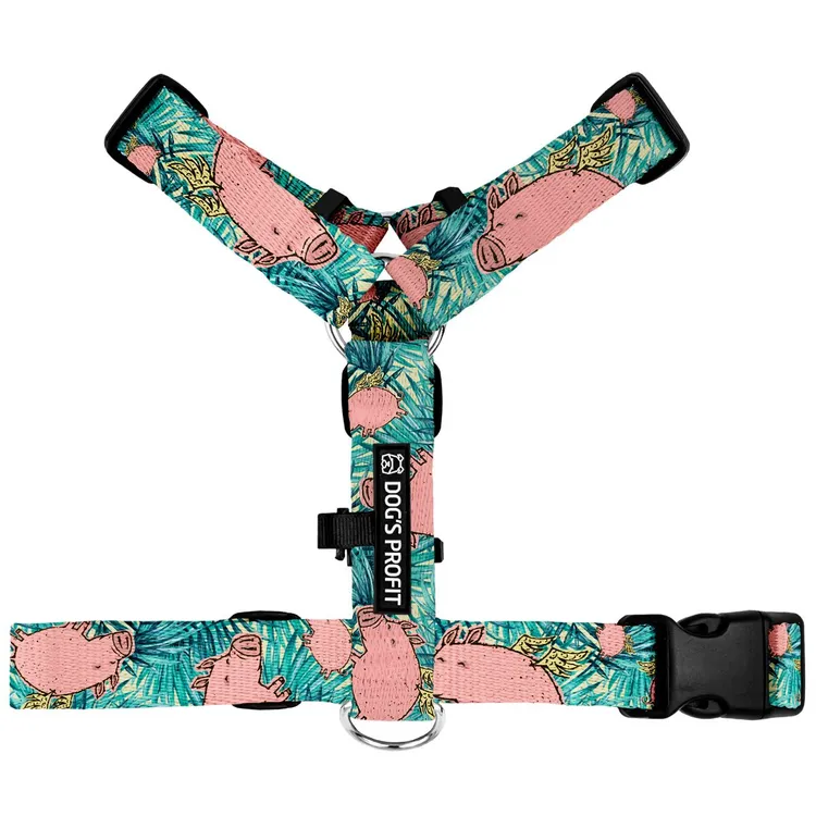 Szelki typu guard JUNGLE PIG S | 20mm