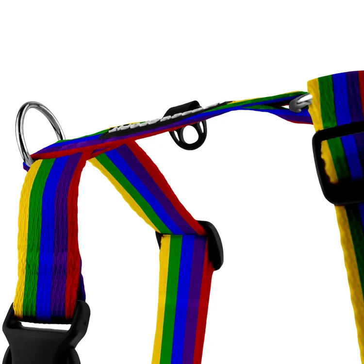 Szelki typu guard KOLOROWE JAK TĘCZA S|20mm