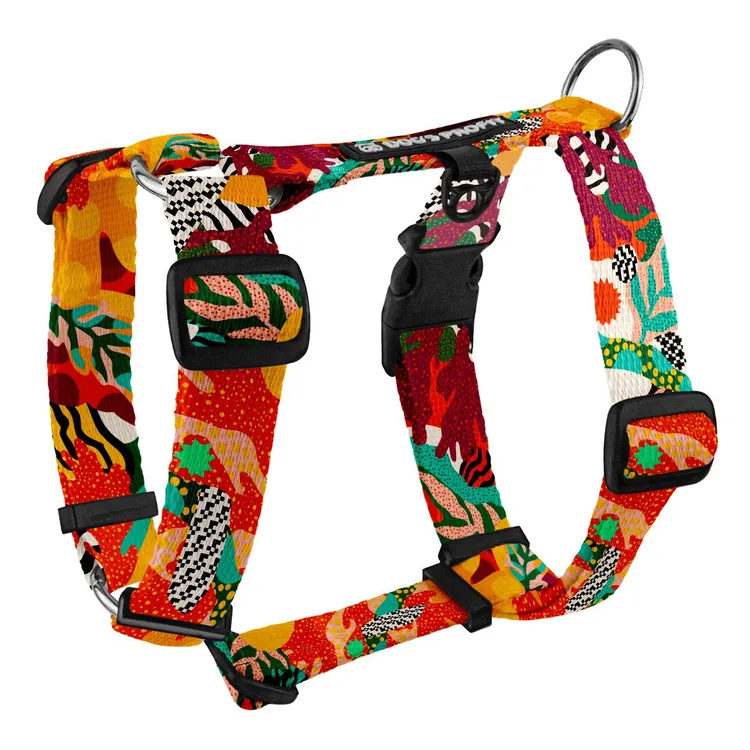 Szelki typu guard MEXICO S | 20mm