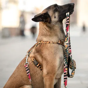 Codzienność w szelkach typu guard Dog's Profit