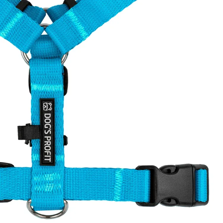 Szelki typu guard NIEBIESKIE JAK NIEBO S|20mm