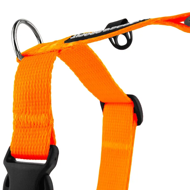 Szelki typu guard POMARAŃCZOWE JAK POMARAŃCZA S|20mm