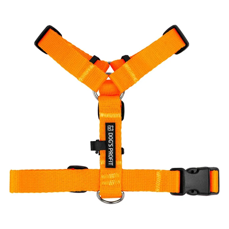 Szelki typu guard POMARAŃCZOWE JAK POMARAŃCZA S|20mm