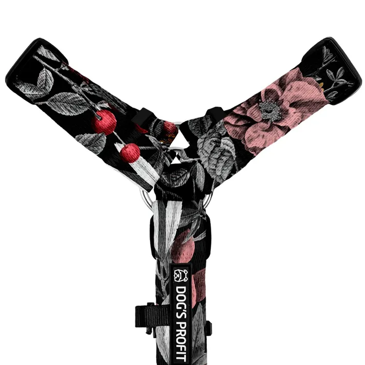 Szelki typu guard RETRO S | 20mm