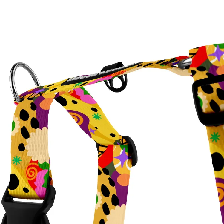 Szelki typu guard Seul S|20mm