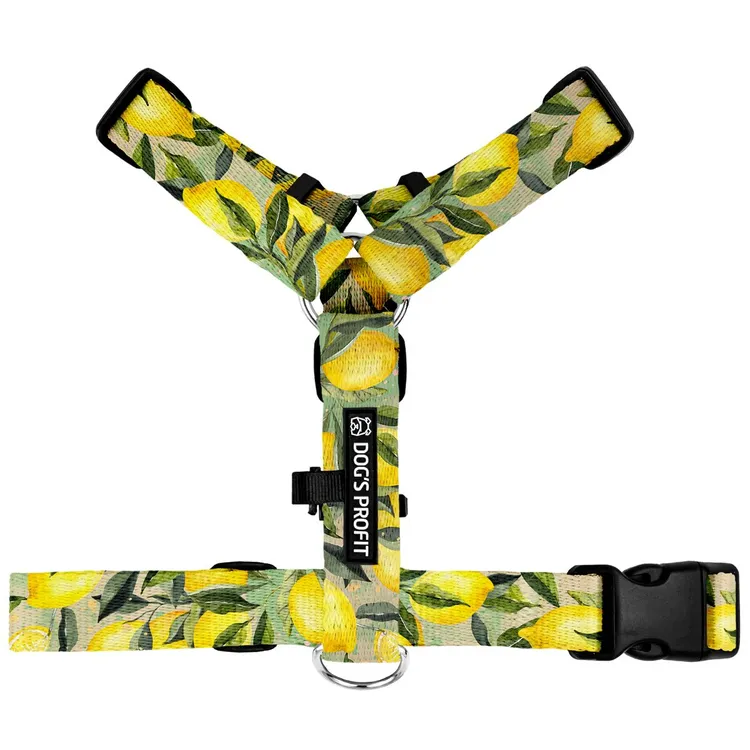 Szelki typu guard SIGNORA LIMONE S|20mm