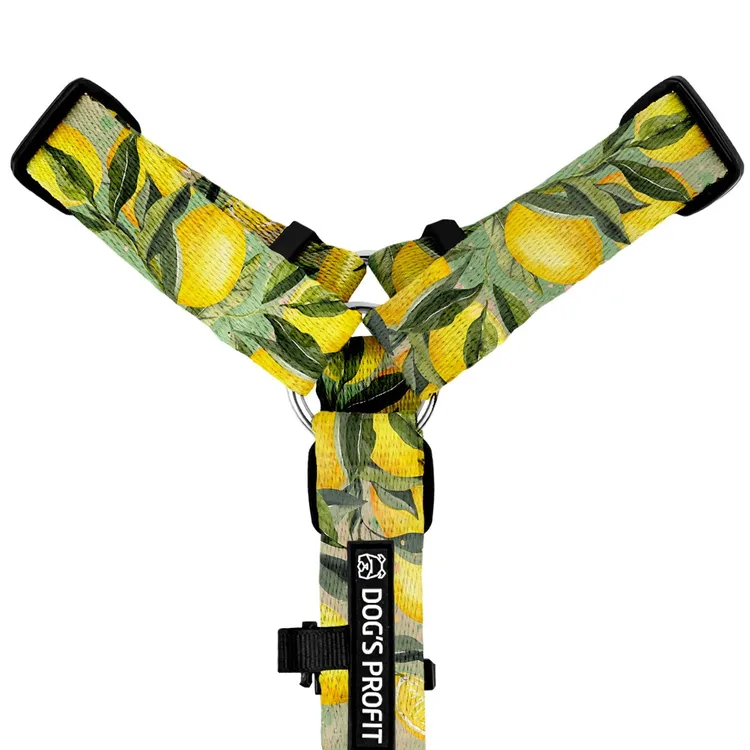 Szelki typu guard SIGNORA LIMONE S|20mm