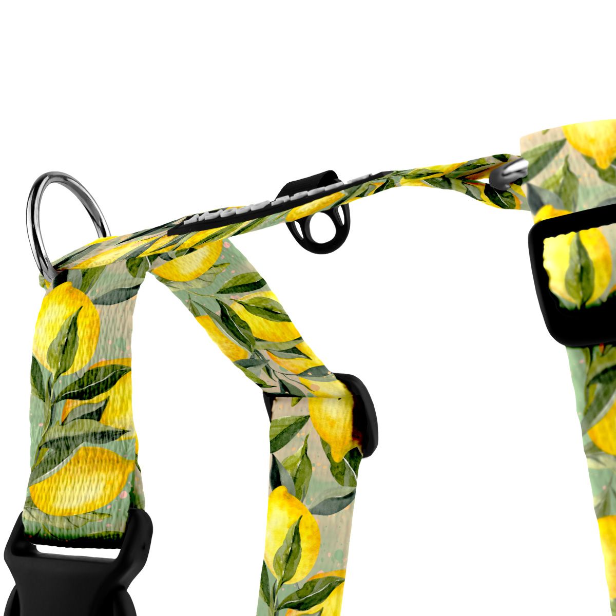 Szelki typu guard SIGNORA LIMONE S|20mm