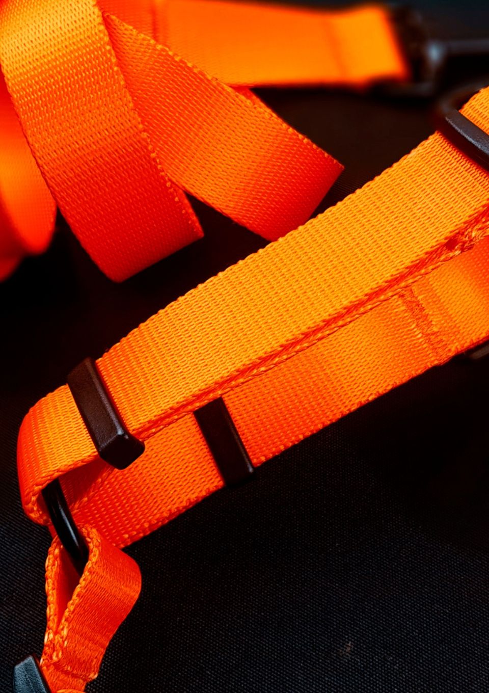 Szelki typu guard AMARILLO S | 20mm