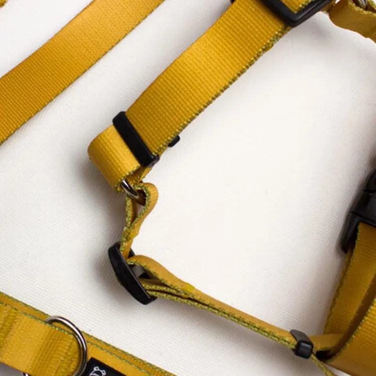 Szelki typu guard CARAMEL S | 20mm