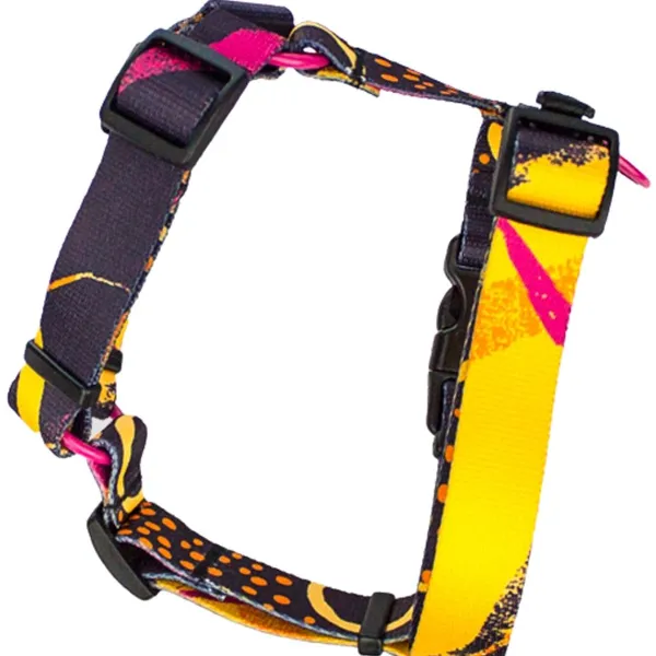 Szelki typu guard M41