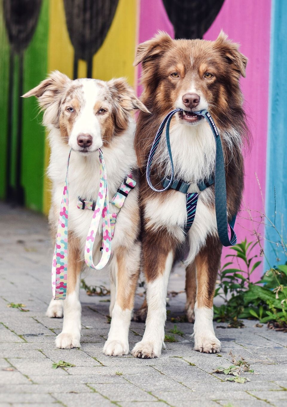 Smycz miejska MARSHMALLOW 150cm 20mm