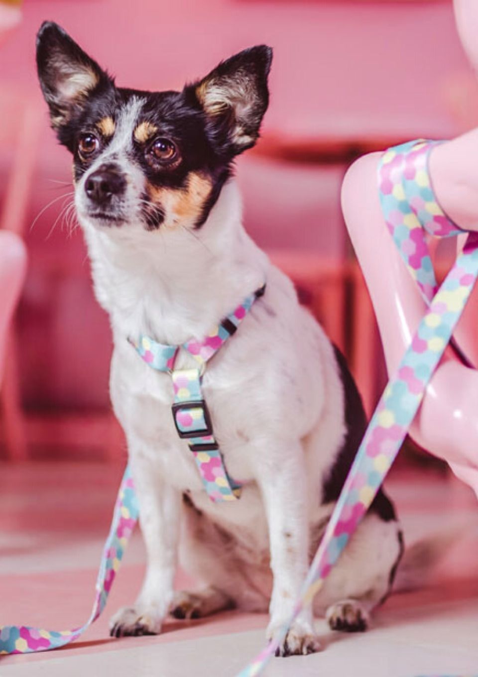 Smycz miejska MARSHMALLOW 150cm 20mm