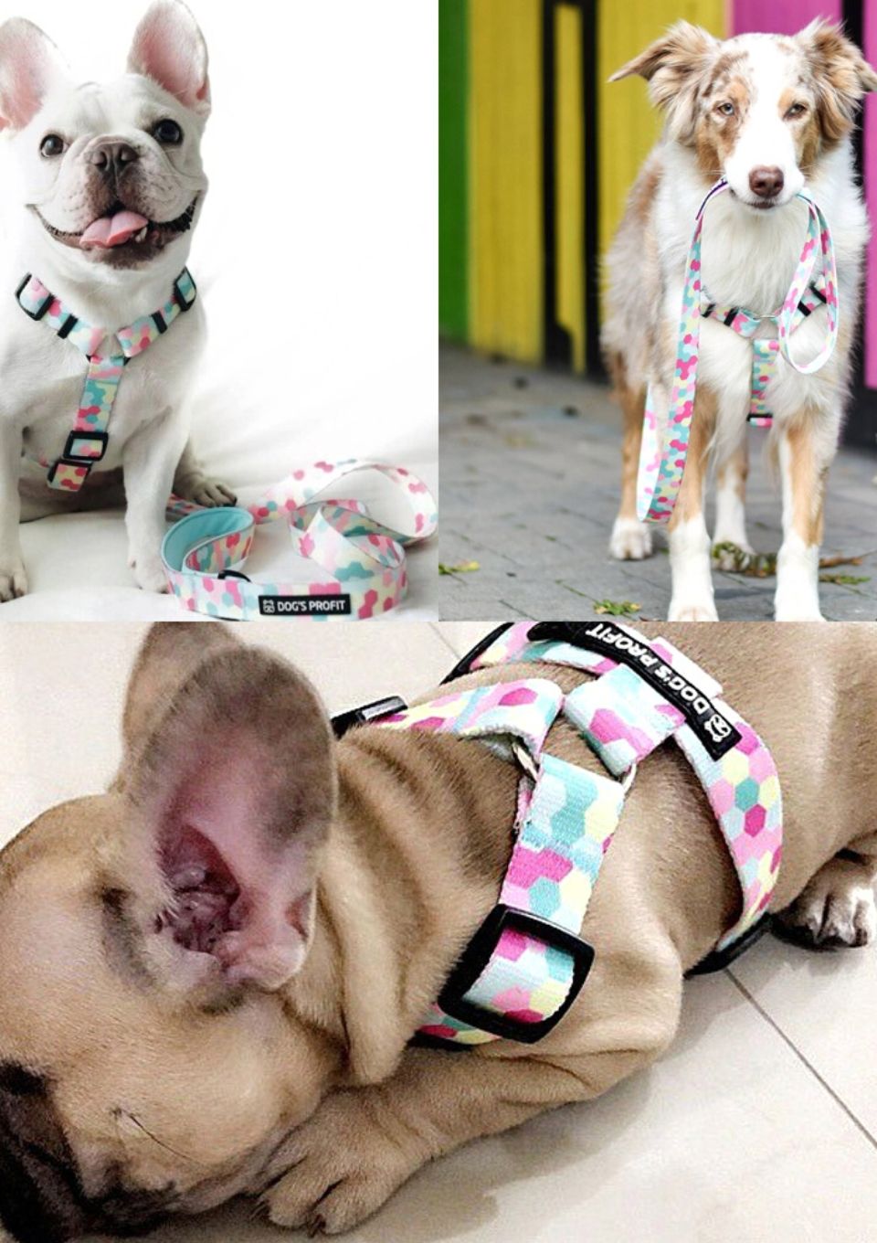 Szelki typu guard MARSHMALLOW S | 20mm