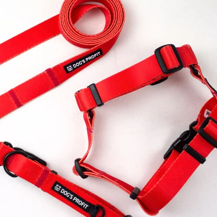 Szelki typu guard ROSSO S | 20mm