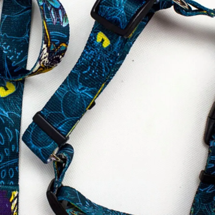 Szelki typu guard TROPICAL S | 20mm