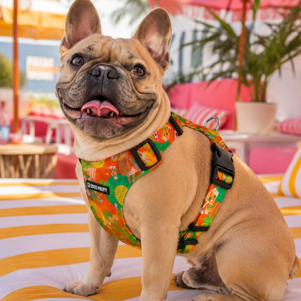 Szelki bezuciskowe PRO-FIT™ Beach PAWty XS|20mm