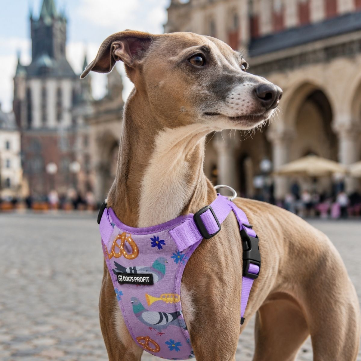 Szelki bezuciskowe KRAKWOOF XS|15mm