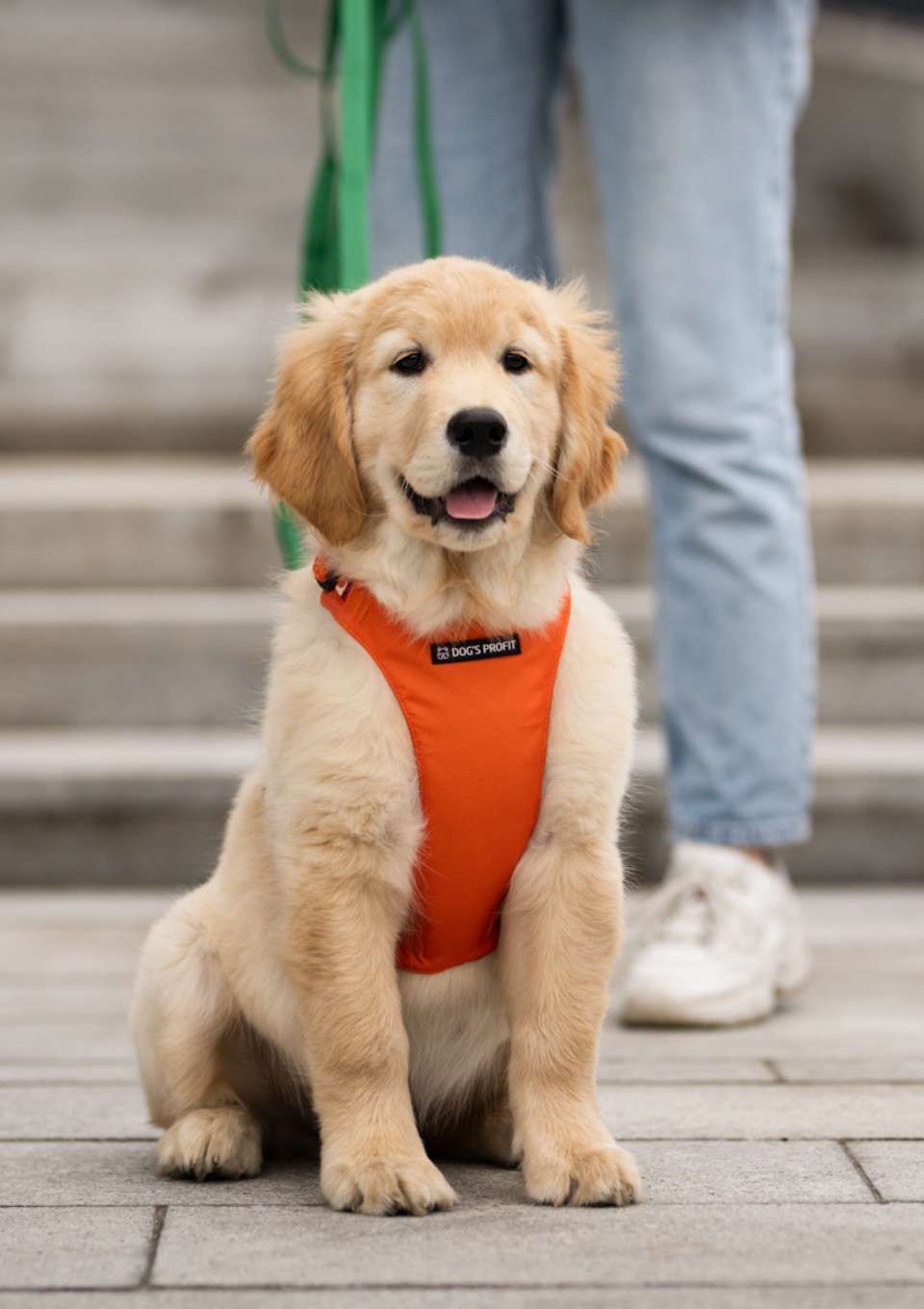 Szelki bezuciskowe PRO-FIT™ AMARILLO S | 20mm