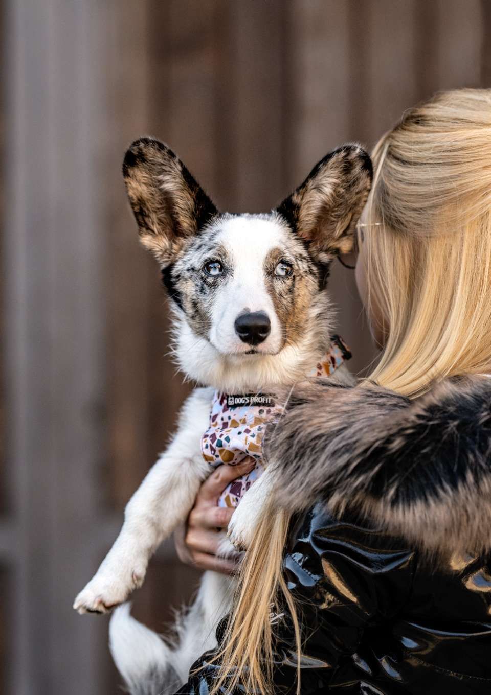 Szelki bezuciskowe PRO-FIT™ CANTUCCINO XS | 20mm