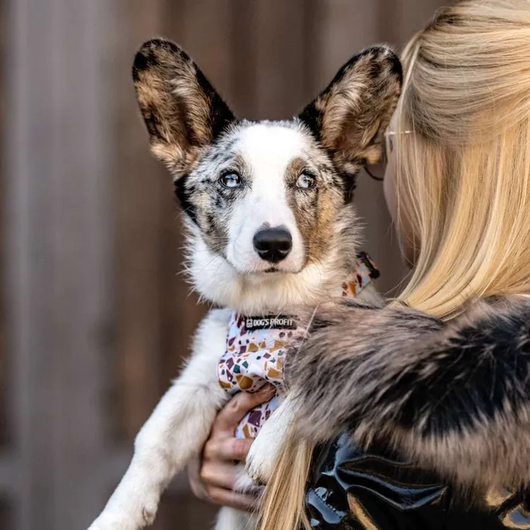 Szelki bezuciskowe PRO-FIT™ CANTUCCINO XS | 20mm