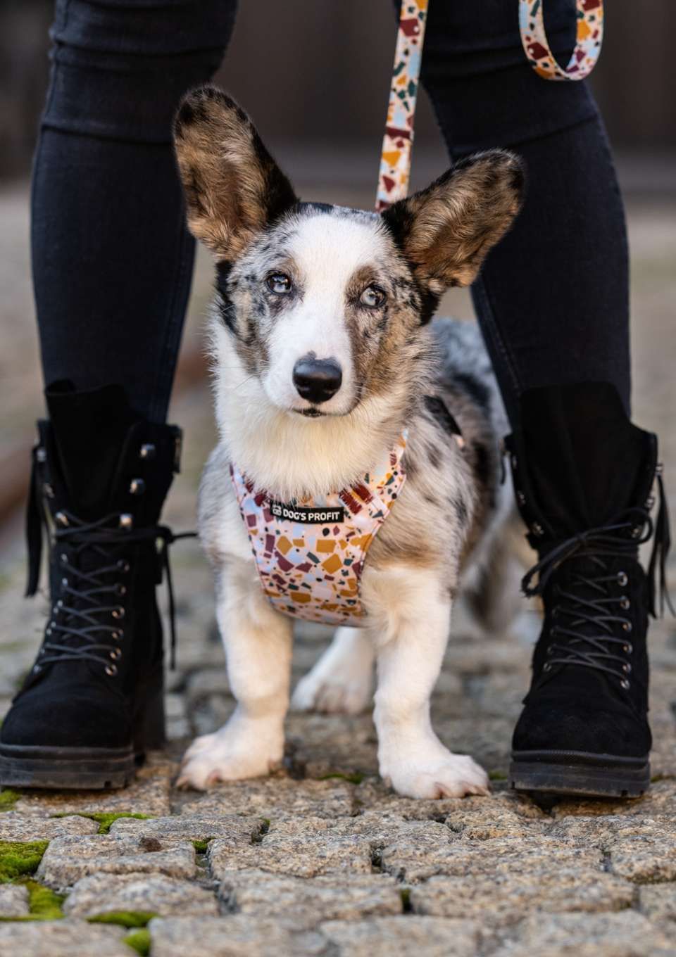 Smycz miejska CANTUCCINO 150cm 20mm