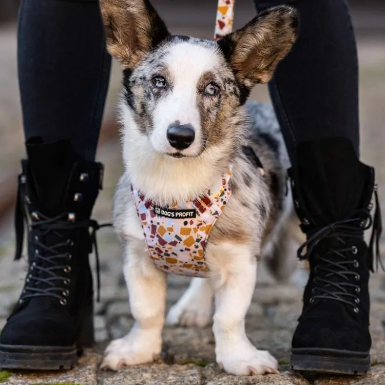 Szelki bezuciskowe PRO-FIT™ CANTUCCINO XS | 20mm